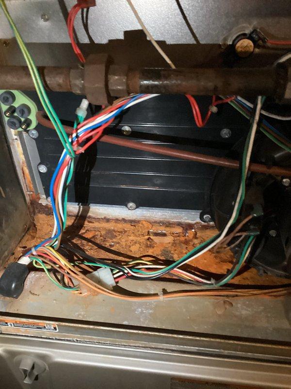 Performed annual furnace tune-up and inspection on 2013 natural gas furnace. System is currently operational with components testing within specification despite observed flame sensor buildup and internal rust from previous water leak. Thermostat exhibited momentary connectivity issues but resumed normal function after restart. Recommended continued monitoring of system performance as unit is approaching end of typical service life.