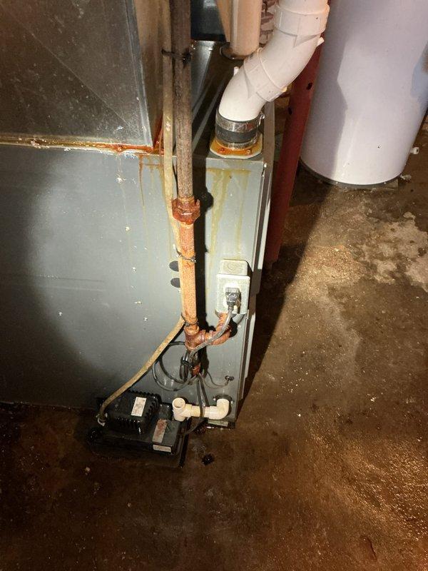 Responded to a service call for multiple water leaks resulting from frozen pipe damage. Discovered and addressed three separate issues: 1) repaired a small hole in kitchen sink supply line and replaced broken supply line on opposite side, installing two new shut-offs; 2) replaced damaged condensate pump line in basement that had been compromised by squirrel activity; 3) identified leak in water main before shut-off valve and discussed repair options with homeowner.