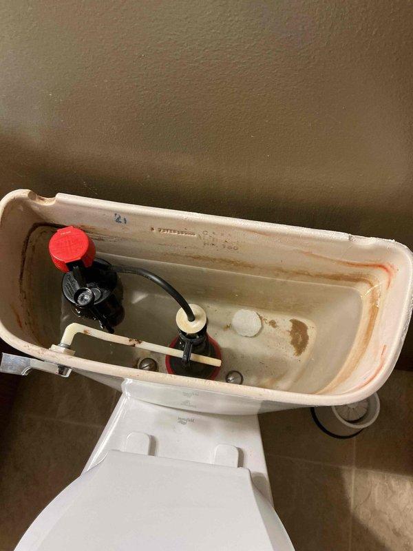 Responded to service call for toilet leaking between tank and bowl. Diagnosed issues including loose tank bolts and faulty fill valve. Tightened all three tank bolts to secure tank and eliminate leak, then replaced fill valve and flush valve gasket to restore proper function.