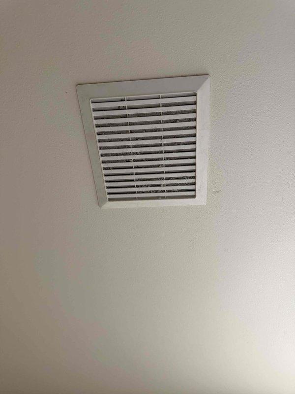 Performed diagnostic assessment on three toilets: replaced defective flush handle and fill valve in master bathroom toilet, inspected 30-year-old fill valve in hallway toilet, and cleared clog in downstairs toilet restoring functionality. Additionally, evaluated bathroom ventilation systems and documented excessive dust accumulation in existing fan units, confirming client's interest in replacement fan/light combinations. Also examined leaking whirlpool tub in master bathroom for future repair consideration.