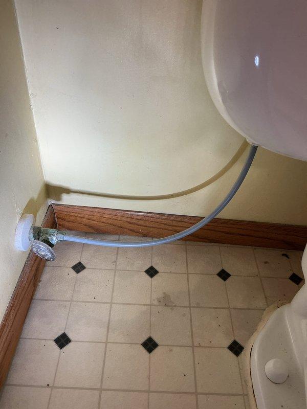 Completed annual plumbing inspection revealing significant deterioration of bathroom sink basin with surface wear and staining at connection points. Identified water supply line issues at toilet with visible floor staining nearby. Provided homeowner with detailed estimate for recommended repairs; awaiting decision after family consultation.