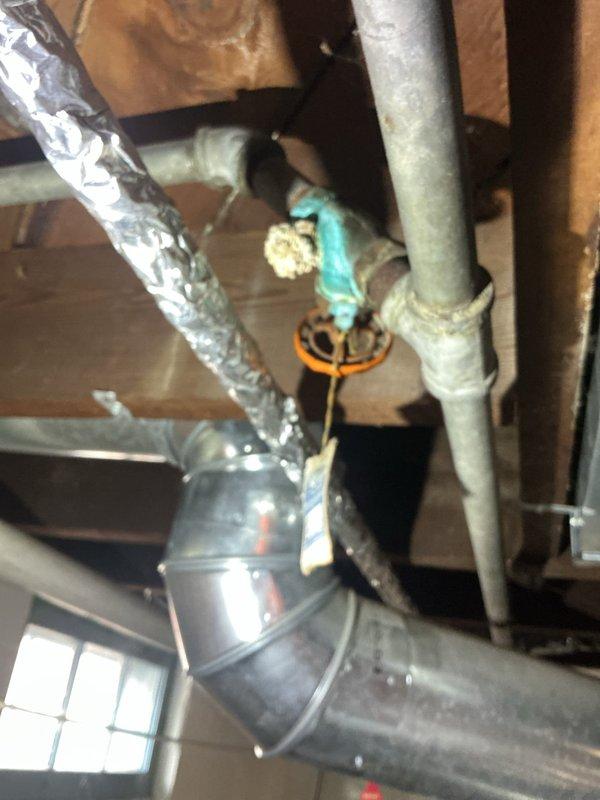 Completed installation of ADA-compliant skirted toilet on return service call. Replaced existing unit with new elongated bowl model featuring sanitary bar design and improved water efficiency. Installation included new wax ring and bolts to properly secure fixture.