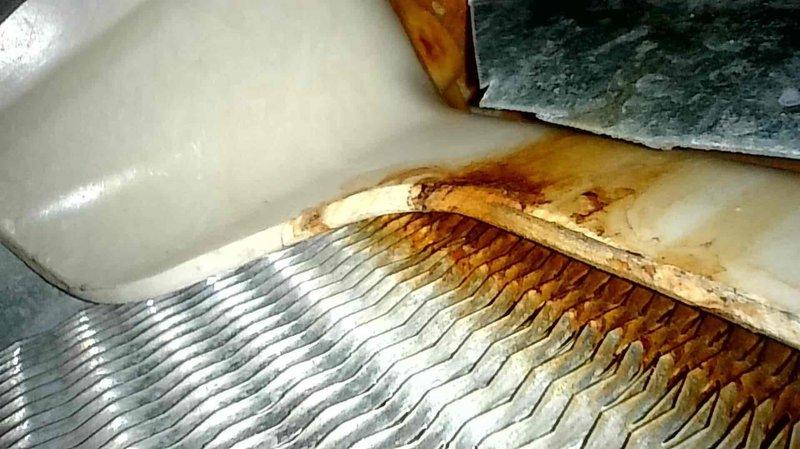 Inspected furnace for reported leak and determined water damage originated from AC unit that had been leaking during summer months. Observed significant rust and water stains where condensation overflowed from evaporator drain pan and pooled on shelf supporting evaporator coil, with moisture penetrating furnace housing and corners of evaporator case. Scheduled follow-up AC tune-up to diagnose root cause (possible clogged drain line or refrigerant charge issues causing ice formation).