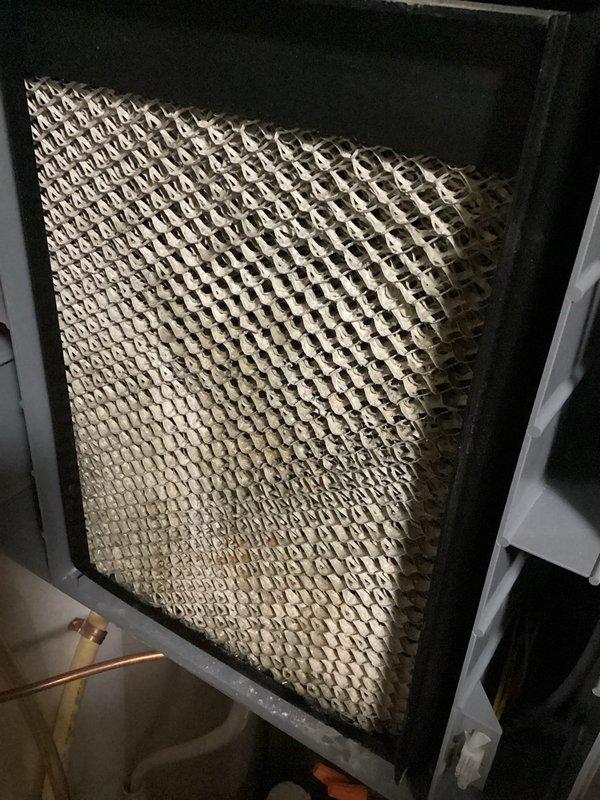 Investigated customer-reported intermittent gravelly noise primarily audible upstairs while furnace was operating normally. Inspection revealed a heavily soiled furnace filter which was replaced, and identified the humidifier as producing fan noise with a pad requiring replacement. System operation was verified after filter replacement, with recommendations to monitor for noise recurrence. Scheduled follow-up water heater inspection.