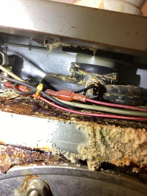 Responded to no-heat call for aging boiler displaying E3 error code. Diagnostic inspection revealed extensive water damage throughout system including severe corrosion on heat exchanger, damaged sensors, leaking low water sensor, and water damage affecting gas valve and inducer motor. Documented condition with photos showing significant rust accumulation and electrical component deterioration. Prepared comprehensive repair estimate and scheduled comfort advisor to discuss replacement options with customer.