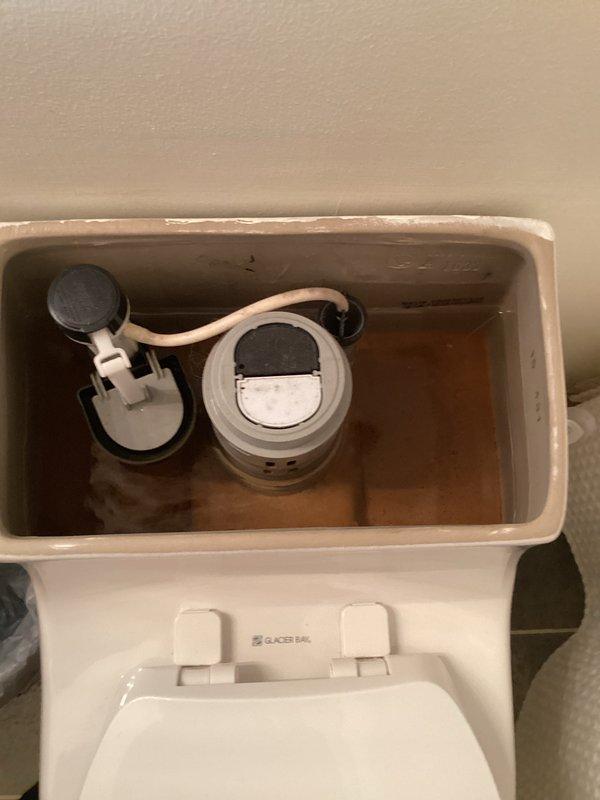 Conducted plumbing inspection of residential bathroom toilet fixture (WOODBRIDGE model). Observed normal functioning of flush and fill valve assemblies with some mineral buildup and water staining inside tank. No immediate issues requiring repair were identified.