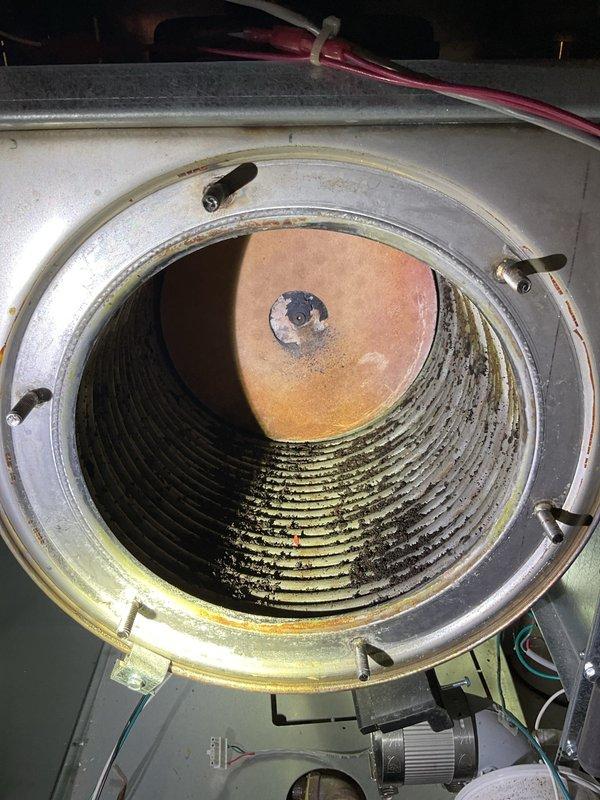 Performed boiler tune-up under maintenance agreement. Cleaned heat exchanger which showed significant buildup of dark residue along the ribbed surfaces. Identified deteriorating back insulation requiring replacement; customer will be provided pricing for this component. Overall unit is in very good condition aside from the insulation issue.