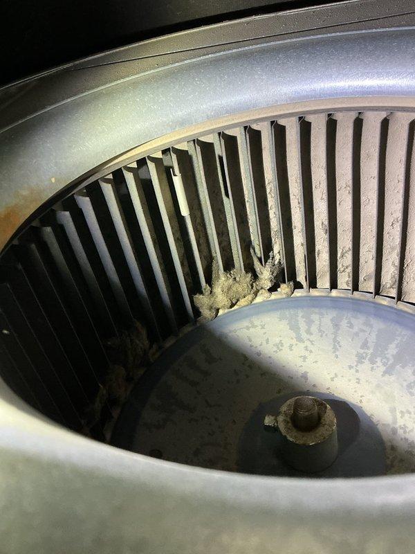 Performed maintenance on 32-year-old furnace system, finding critical issues including rotting burners, leaking collector box, and heavily soiled blower wheel. Conducted electrical diagnostics using clamp meter and documented extensive debris buildup in blower assembly that is restricting airflow. Recommended replacement of burners and collector box (if parts available) and cleaning of blower wheel to restore proper system function.