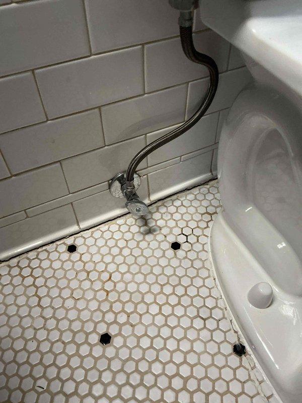 Successfully installed new elongated toilet in bathroom per estimate, connecting the braided stainless steel water supply line to the existing shutoff valve. Completed installation in bathroom with white subway tile walls and hexagonal tile flooring.