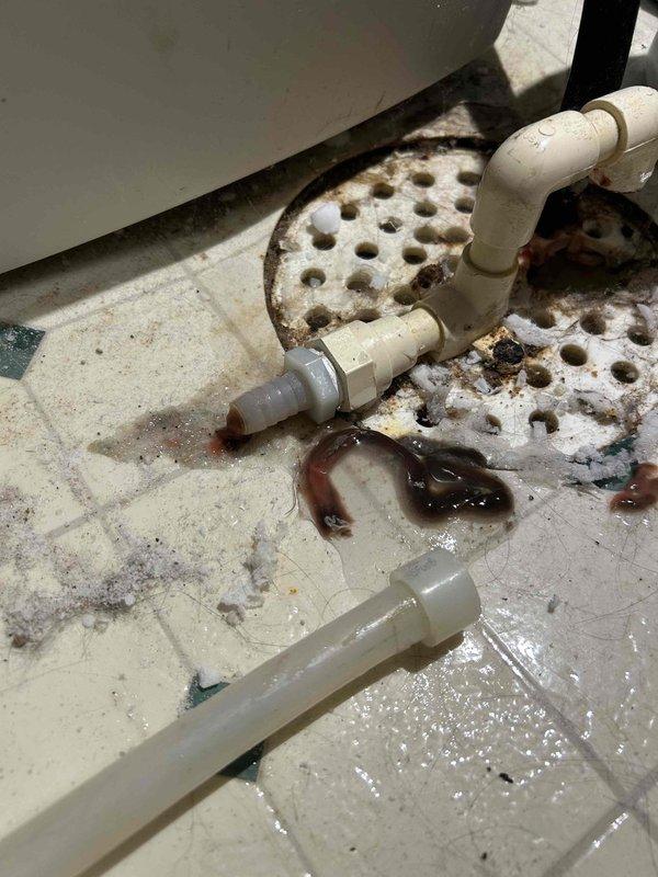 Responded to callback regarding water leakage near furnace installation. Diagnosed and resolved issue with condensate trap backup caused by debris and sediment buildup in PVC drain line. Cleared blockage from trap and drain line, restoring proper drainage function while confirming furnace is operating normally with no other issues.