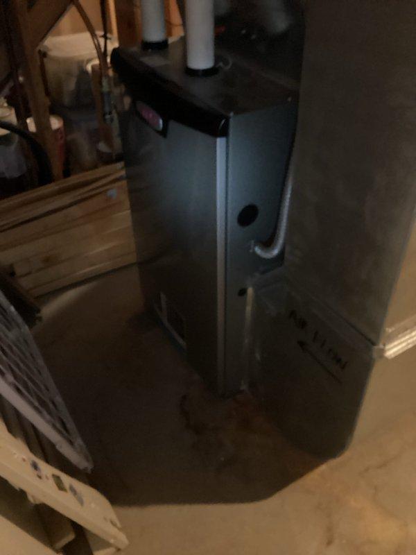 Responded to service call for Alpine 600 humidifier leaking water onto floor. Cleaned water line hose and restored proper operation. Observed significant calcium buildup on recently replaced humidifier pad, indicating potential water softener malfunction. Scheduled water quality analysis to address recurring mineral accumulation issues.