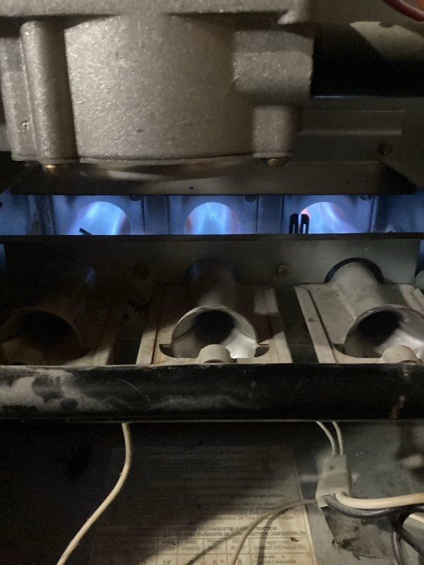 Responded to no heat call for 25-year-old furnace. Diagnosed system running in lockout mode with dirty flame sensor despite clean filter and clear venting. Performed comprehensive tune-up, cleaned flame sensor, and noted inducer motor beginning to fail. System tested properly after service with good temperatures and flame pattern; customer advised to monitor for recurring issues and consider replacement options due to equipment age.