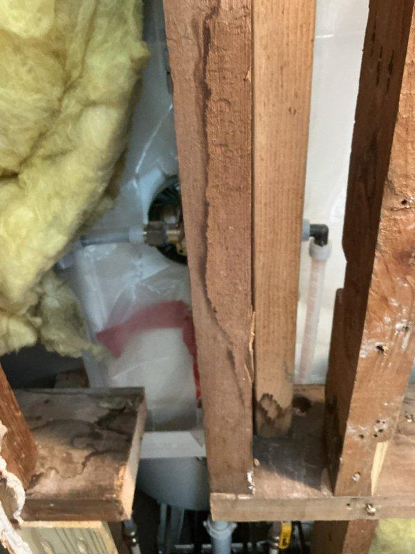 Responded to customer's request for revised shower faucet estimate after drywall removal. Upon inspection of the exposed wall cavity containing plumbing components and assessment of requirements, installed new shower valve with complete shower/tub trim. Completed installation includes brushed nickel/stainless steel control handle and curved tub spout in white bathtub/shower enclosure.