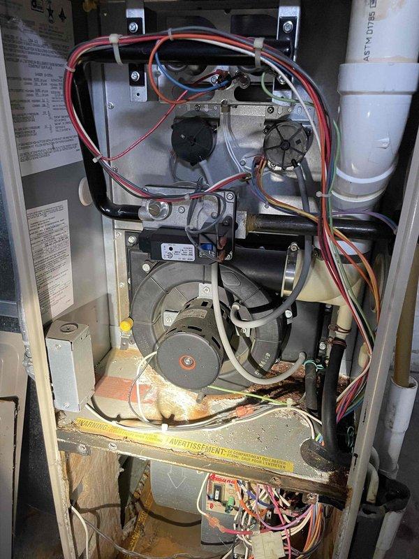 Performed furnace tune-up and diagnostic inspection, finding a severely plugged air filter from humidifier and a leaking collector box that has caused significant cabinet rust damage. Heat exchanger metal appeared worn but still functional; recommended collector box replacement and discussed equipment upgrade options with customer who scheduled follow-up consultation.