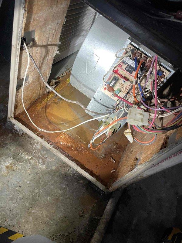 Performed furnace tune-up and diagnostic inspection, finding a severely plugged air filter from humidifier and a leaking collector box that has caused significant cabinet rust damage. Heat exchanger metal appeared worn but still functional; recommended collector box replacement and discussed equipment upgrade options with customer who scheduled follow-up consultation.