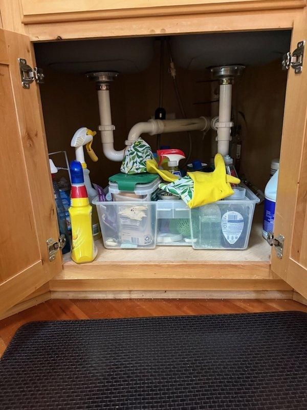 Completed installation of new garbage disposal unit in kitchen sink. Performed comprehensive Family Rewards plumbing inspection, which included examination of under-sink plumbing connections and water treatment system (Water-Boss unit). Documented condition of existing plumbing infrastructure with photos for service records.