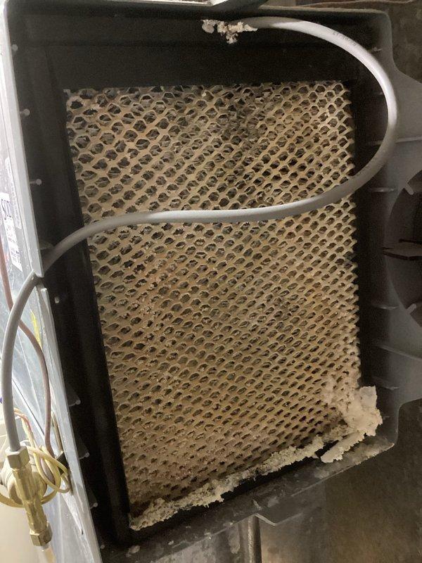 Responded to no-heat call for 2013 furnace system. Upon arrival, found unit displaying fault code indicating limit switch circuit malfunction. Performed comprehensive diagnostic testing on furnace components including blower motor operation, control board functionality, and safety switch circuits. Identified failed blower motor as root cause of limit switch circuit failure rather than control board issue. Noted evidence of moisture intrusion with visible rusting and corrosion on cabinet interior, indicating potential heat exchanger or condensate drainage concerns requiring further evaluation.

Inspected humidifier assembly and found evaporator pad severely clogged with mineral deposits and deteriorated material, restricting airflow and water distribution. Pad showed significant discoloration, buildup throughout honeycomb mesh, and structural damage at lower corner with white crusty deposits visible. Verified Nest thermostat programming and settings; unit calling for heat appropriately 