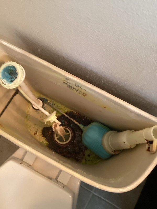 Responded to a master bathroom toilet that was continuously running and would not shut off. Upon inspection, found the existing toilet tank components were severely deteriorated with significant mineral deposits and staining throughout the tank interior. The fill valve, flush valve, and float mechanism all showed signs of failure and age-related wear. Due to the extent of deterioration and the overall condition of the fixture, determined that component replacement would not be cost-effective. Shut off the water supply to prevent further water waste. Removed and disposed of the old toilet. Installed a new Gerber tall elongated ADA-compliant toilet in the master bathroom, ensuring proper seating, seal integrity, and water supply connection. Tested the new installation for proper flush operation and verified no leaks were present.