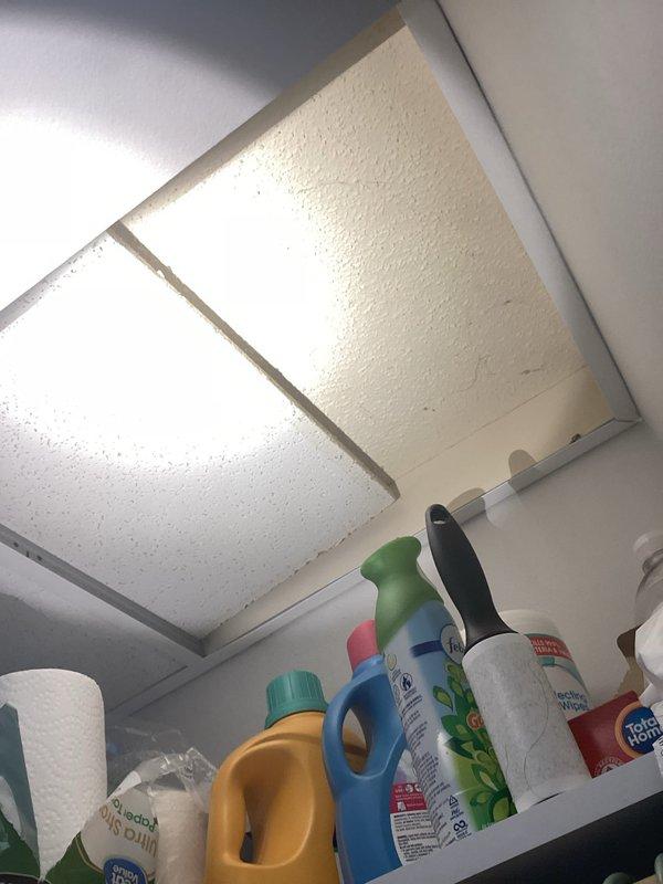 Responded to reported bathtub leak from upstairs fixture. Upon inspection, unable to reproduce active dripping or water flow from the tub area. Identified visible gap around the tub spout connection point. Applied continuous bead of silicone sealant around tub spout perimeter to seal gap and prevent potential water intrusion.