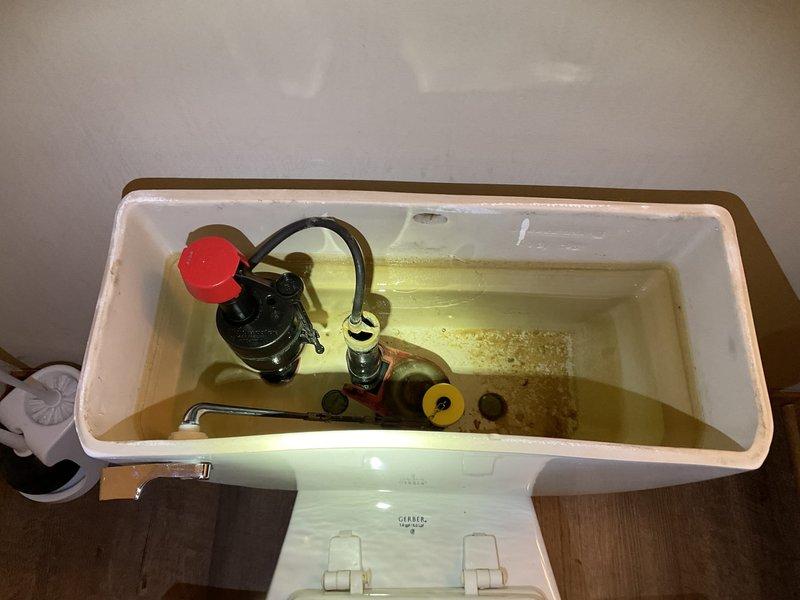 Completed comprehensive plumbing inspection identifying multiple issues requiring attention. Discovered active leak behind water heater requiring immediate repair to prevent water damage. Washing machine supply hoses showed signs of wear and deterioration, along with failed shock arrestors that need replacement to prevent water hammer and potential hose failure. 

Performed water quality testing using hardness test strips, revealing elevated mineral content in the water supply. Test results indicated hard to very hard water conditions, which can contribute to mineral buildup in plumbing fixtures and appliances, reducing their efficiency and lifespan.

Inspected toilet tank components and documented condition of internal mechanisms. Tank exhibited significant mineral deposits and water discoloration, consistent with hard water conditions. Flush valve assembly with rubber flapper, fill valve mechanism, and associated hardware showed age-related wear and mineral accumulation on tank surfa