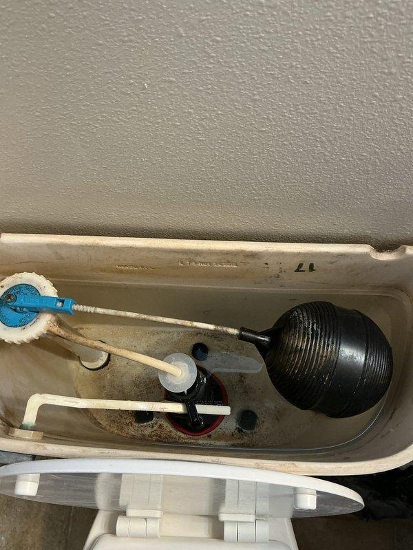 Completed annual plumbing inspection in response to reported basement water intrusion initially suspected to be related to sump pump or well pump failure. Conducted comprehensive visual assessment of all plumbing systems and components including toilet tank mechanisms, water softening system, pressure tanks, and associated supply lines. Inspected toilet flush assembly components including fill valve, flapper mechanism, and supply connections which showed normal wear patterns and mineral deposits consistent with regular use. Evaluated whole-house Culligan water treatment system with dual softener tanks, digital control units, pressure tank, and interconnected piping including blue PVC supply lines with brass fittings and shut-off valves. All plumbing components, fixtures, water treatment equipment, and pressure systems on the property's internal plumbing side were found to be functioning properly with no deficiencies identified. Investigation determined that basement water issue was not