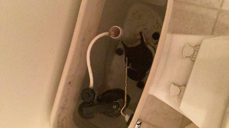 Completed comprehensive plumbing inspection of residential bathroom fixtures. Examined sink assembly, faucet operation, drainage system, and toilet tank components including flapper valve, fill valve assembly, and refill tube for proper functionality and potential issues.