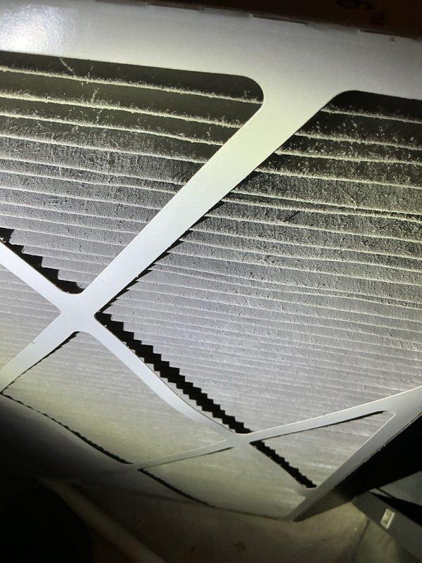 Completed annual air conditioning maintenance tune-up on a 5-year-old system. Rinsed condenser coil to remove accumulated dirt and debris, inspected pleated air filters showing dust accumulation, and documented system condition with photos. Customer orders replacement filters online for ongoing maintenance.