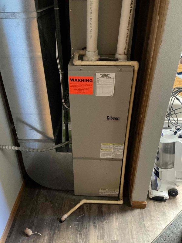 Completed comprehensive 12-month preventative maintenance on Gibson HVAC system, original to home since 2004. Performed outdoor condenser unit cleaning, removed debris and vegetation from around unit, flushed evaporator coil and condensate drain line inside furnace closet. Tested all electrical components, verified proper amperage draws, and confirmed operational functionality of heating and cooling systems. Documented equipment model and serial numbers with photographs for service records.