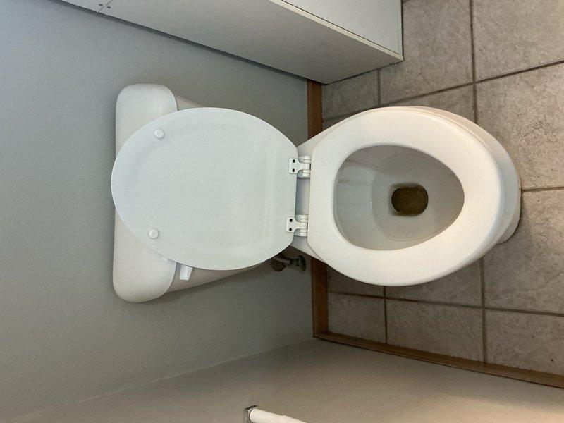 Replaced existing toilet with new standard height unit including wax ring, bolts, and complete installation. Due to proximity to wall, sourced and installed 10-inch rough-in toilet to ensure proper clearance. Replaced leaking shower hose at wall connection point. All fixtures tested and verified operational upon completion.