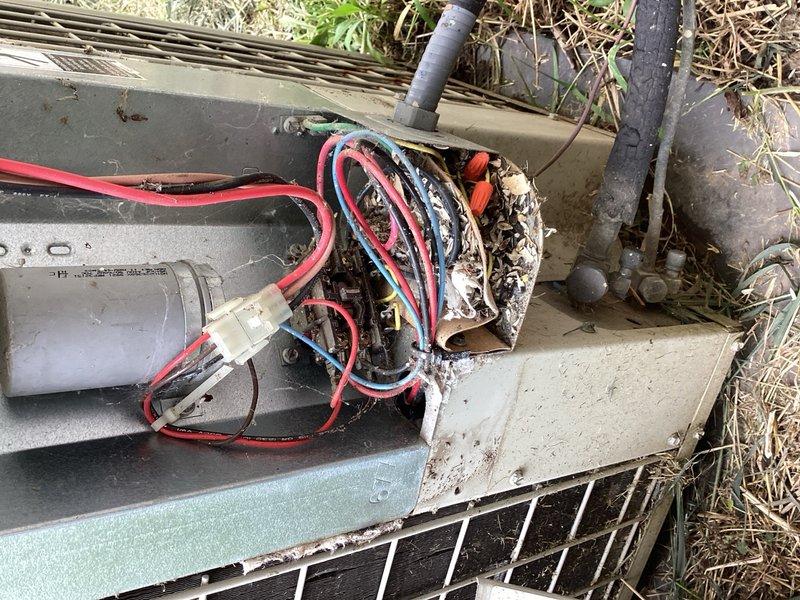 Responded to no cooling complaint on 1999 air conditioning system. Upon inspection, found evaporator coil completely blocked with pet hair and dander, restricting airflow and preventing adequate cooling performance. Thoroughly cleaned evaporator coil, removing all debris accumulation. System tested after cleaning showed 18° temperature split across coil, indicating improved but potentially marginal refrigerant charge. Unit now cooling adequately with restored airflow; however, given age of equipment and slight concern about refrigerant levels, system may require future monitoring or refrigerant adjustment if cooling performance degrades.