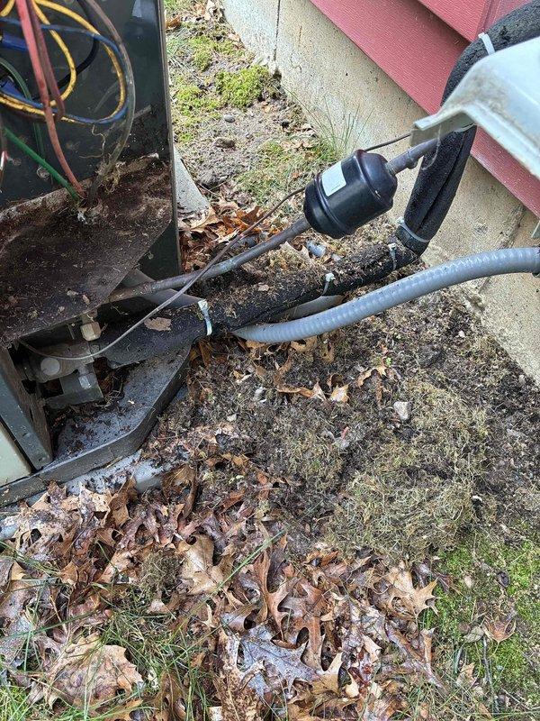 Responded to no cooling complaint with Nest thermostat displaying Y1 wire error. Upon inspection, discovered mouse nest inside outdoor condenser unit with chewed and damaged low-voltage wiring. Removed rodent nest and debris from condenser, repaired damaged wiring connections, and restored proper thermostat communication. Verified condenser operation, performed refrigerant charge analysis with gauges showing proper levels, and confirmed system cooling performance restored to normal operation.