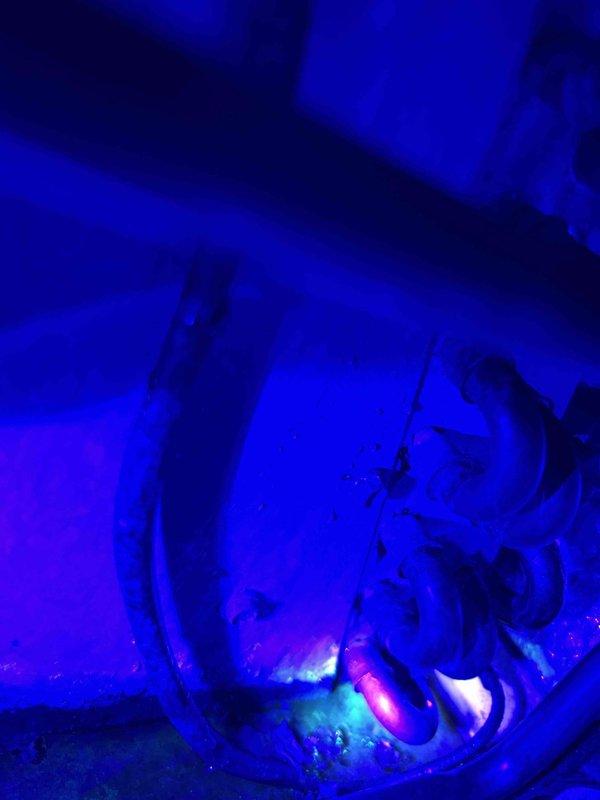 Arrived to perform scheduled air conditioning tune-up on 15-year-old system and discovered unit short cycling during operation. Connected manifold gauges and confirmed refrigerant charge was critically low, despite previous charge and dye injection performed in 2024. Conducted comprehensive leak detection using UV light and identified multiple dye traces on evaporator coil indicating significant refrigerant leaks. Due to failed evaporator coil, unable to complete standard tune-up procedures; provided replacement options for evaporator coil and coordinated with service advisor for complete system replacement estimate.