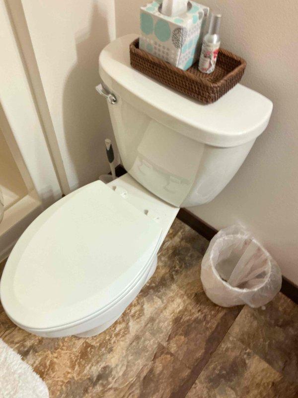 Responded to toilet leak occurring every 15-20 minutes due to malfunctioning overflow tube and float mechanism in 20-year-old Mansfield toilet. Removed existing toilet and installed new ADA-compliant comfort height elongated toilet with updated internal components including fill valve and flapper assembly. Tested new installation for proper operation, verified no leaks, and ensured proper flush function and water level settings.