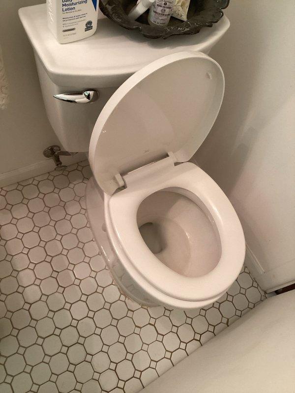 Responded to multiple bathroom plumbing issues including slow-draining bathtub with black debris emanating from overflow assembly, toilet overflow condition, and persistent water dripping from tub spout after shower use. Inspected bathroom fixtures and drainage system to assess extent of blockages and identify source of contamination. Documented existing conditions showing particulate debris accumulation in bathtub and standard residential plumbing fixtures requiring professional drain cleaning and potential overflow gasket replacement to resolve drainage and overflow concerns.
