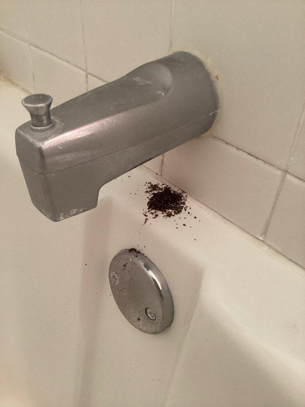 Responded to multiple bathroom plumbing issues including slow-draining bathtub with black debris emanating from overflow assembly, toilet overflow condition, and persistent water dripping from tub spout after shower use. Inspected bathroom fixtures and drainage system to assess extent of blockages and identify source of contamination. Documented existing conditions showing particulate debris accumulation in bathtub and standard residential plumbing fixtures requiring professional drain cleaning and potential overflow gasket replacement to resolve drainage and overflow concerns.