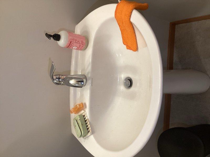 Completed comprehensive plumbing inspection of residential property, identifying several items requiring attention during next service visit. Thoroughly evaluated water filtration system, including water softener with digital control head and white filter housing with replaceable cartridge. Determined that water filter replacement is necessary and provided detailed explanation of filtration system operation and maintenance requirements. Inspected bathroom fixtures including sink, faucet, and drain assembly. Documented all findings with photographs of plumbing equipment and fixtures for service records. Advised homeowner of identified deficiencies noted in inspection report to be addressed during subsequent appointment.