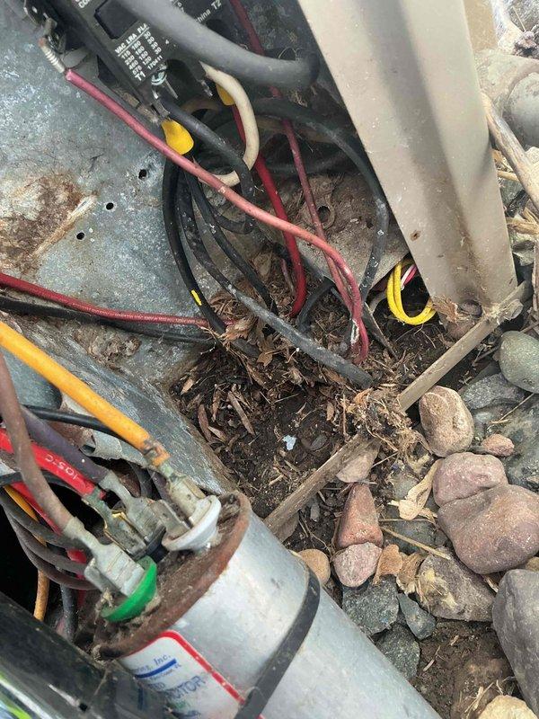Responded to no cool call on 35+ year old Glowcore air conditioning unit. Upon arrival, found system attempting to start but failing to run. Diagnostic testing revealed dual-circuit run capacitor failure affecting both condenser fan motor and compressor. Additionally discovered failed Supco hard start kit that likely remained energized longer than designed due to capacitor degradation, potentially causing internal compressor damage. 

Further inspection uncovered charred and corroded compressor start winding wire and contactor control wire damaged by rodent activity. Significant debris accumulation and environmental exposure evident throughout outdoor unit. Performed comprehensive electrical measurements to assess extent of damage. 

Due to age of equipment and multiple simultaneous component failures, discussed repair versus replacement options with homeowner. Coordinated service advisor consultation and provided detailed repair estimates via email for informed decision-making. Explai