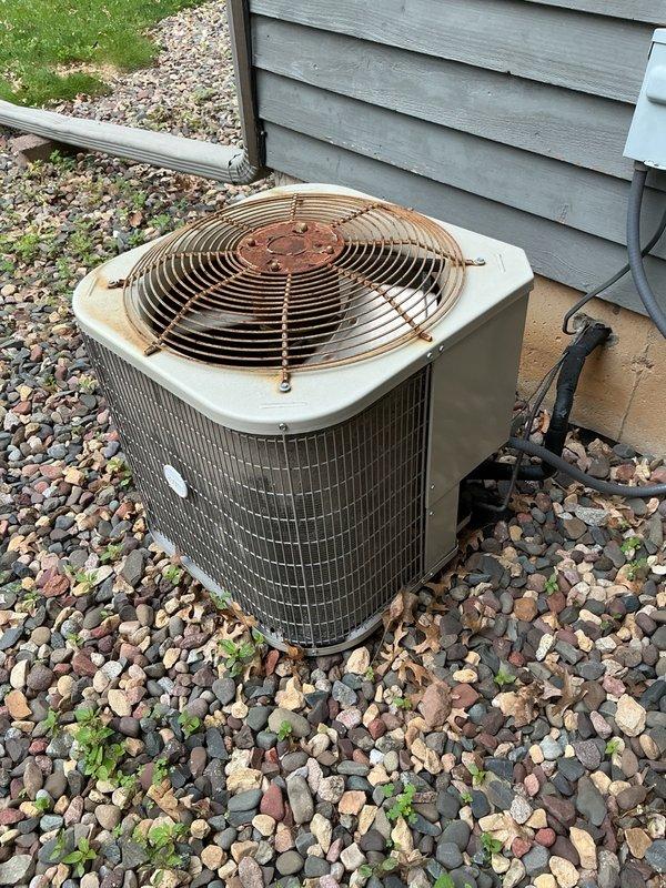 Responded to no cooling complaint where homeowner had already replaced capacitor that was shorted out by a rodent. Performed comprehensive AC tune-up to verify system integrity following the repair. Inspected and confirmed air filter condition, verified evaporator drain was flowing properly, and checked airflow at supply registers. Examined all electrical components including connections, contactors, and newly installed capacitor—all found to be in good working order. Cleaned condenser coil by rinsing thoroughly to remove accumulated debris and restore proper heat transfer. Connected manifold gauges and verified refrigerant pressures were within manufacturer specifications. Measured temperature split at 21°F, confirming system is operating efficiently and cooling properly.