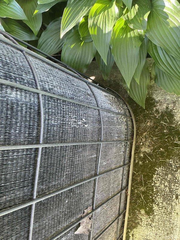 Completed annual air conditioning maintenance tune-up on a 31-year-old Goodman unit utilizing R22 refrigerant. Identified significant condenser coil corrosion due to animal urine exposure and pitted contactor requiring replacement. Replaced defective contactor and documented equipment condition with photos for comfort advisor review.