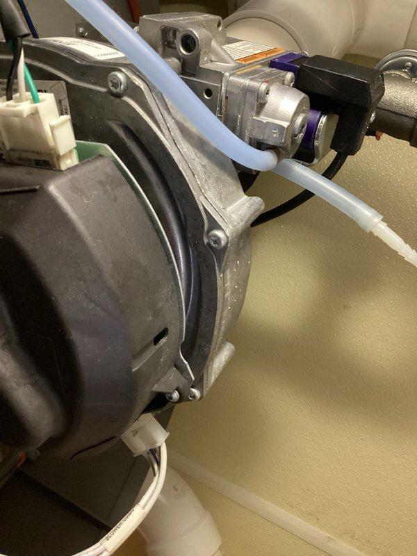 Responded to no hot water condition on tanked water heater with blower motor failure. Upon arrival, unit displayed error message indicating no blower feedback. Reset breaker but error persisted, confirming blower motor malfunction. Diagnosed failed blower motor assembly requiring replacement. Documented existing motor configuration and electrical connections. Provided customer with parts requirement and awaiting approval to proceed with blower motor replacement and system restoration.