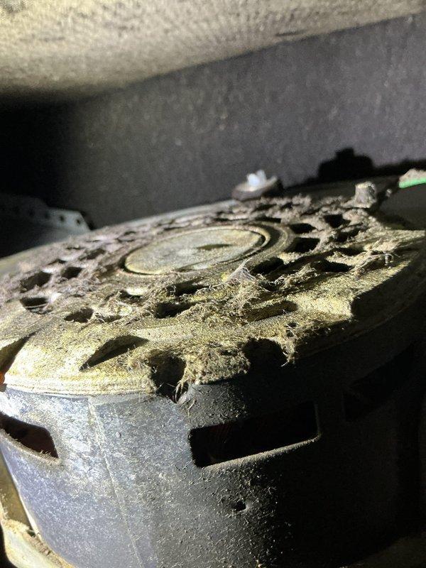 Responded to no cooling complaint on 20+ year old air conditioning system that was frozen solid. Upon arrival, customer had already thawed coils per initial instructions to shut down compressor and run fan only. Verified refrigerant charge levels were within acceptable range. Inspected MERV 11 filter in basement, found minimal restriction. System was maintaining temperature setpoint at time of inspection. Discovered blower motor showing signs of oil leakage from bearings. Inspected all electrical connections and tightened loose wire nuts throughout system. Documented equipment condition with photographs showing heavily soiled blower motor assembly with significant dust and debris accumulation. Due to age of equipment and blower motor condition, recommended comfort advisor consultation for replacement options.