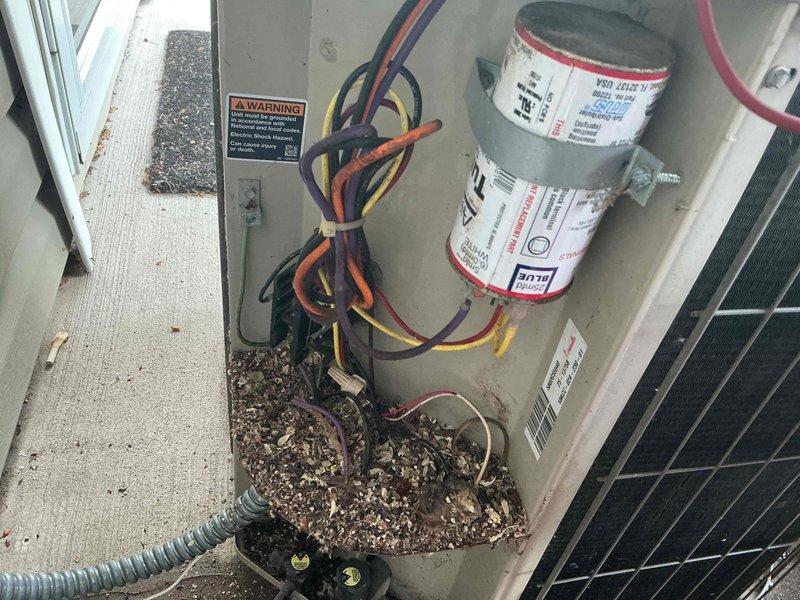 Responded to no cooling complaint on 22-year-old residential air conditioning system. Upon inspection, discovered mouse nest in electrical compartment causing compressor failure. Found failed contactor and failing capacitor preventing outdoor unit operation while indoor furnace fan continued to run. System operates on obsolete R22 refrigerant. Removed rodent debris from electrical compartment and documented multiple component failures. Additional inspection of indoor furnace unit revealed oil leaking from blower motor and heat exchanger showing signs of temperature stress consistent with age of equipment. Due to age of system, obsolete refrigerant type, multiple failed components, and overall condition of both heating and cooling equipment, recommended full system replacement rather than repair. Documented conditions with photographs showing debris accumulation in outdoor unit and interior mechanical equipment layout. Scheduled same-day estimate for complete HVAC system replacement.