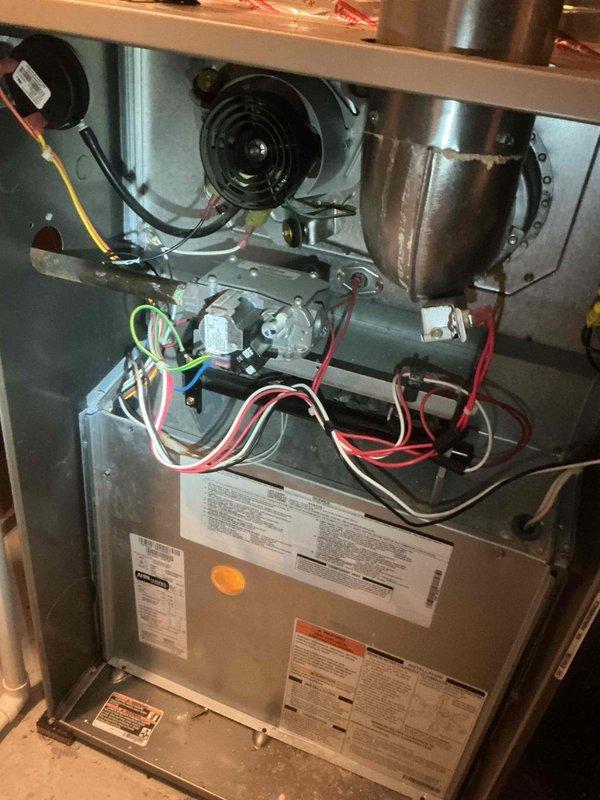 Performed comprehensive AC tune-up on 11-year-old Ruud air conditioning system. Inspection revealed rodent intrusion in condenser unit with mice chewing low voltage wiring. Verified contactor, capacitor, and control board functioning properly with amp draws within specification. Measured temperature drop at 18 degrees, confirming proper system performance. Found evaporator coil and filter clean, refrigerant charge at correct levels. Identified condenser coil requiring disassembly cleaning due to dirt accumulation. Documented findings with photographs and provided customer with repair options and recommendations via email.