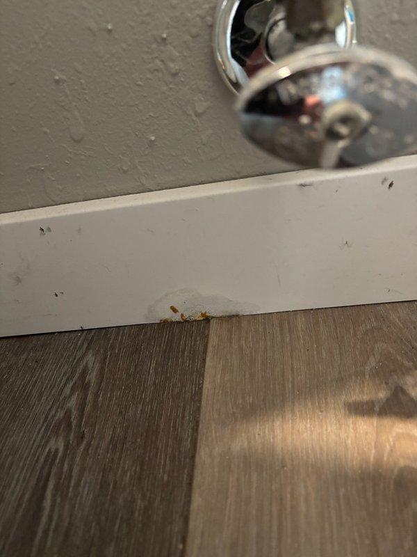 Responded to reported water leaks in bathroom and basement areas. Upon inspection, identified failed wax ring seal at toilet base causing water infiltration at floor-to-wall junction. Removed and reset toilet with new wax ring to restore proper seal and eliminate leak. Inspected basement drainage piping for reported drip from PVC pipe connected to bathroom plumbing system.
