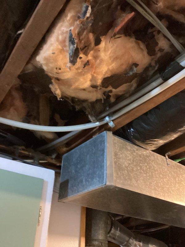 Responded to callback for recurring water leak from recently installed mini-split system. Upon investigation, identified defective drain line routing within interior wall cavity causing water infiltration into living space. Accessed concealed drain line through ceiling, exposing structural framing and insulation. Corrected improper drain line installation per manufacturer specifications. Completed installation correction documentation with photographic evidence of compromised insulation and structural access points required for repair.