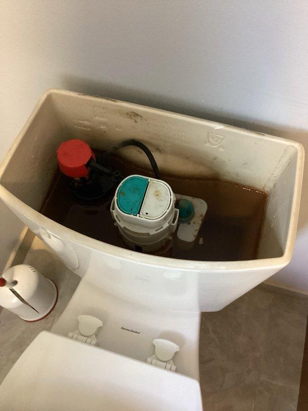 Responded to service call for continuously running toilet in unit 12-4. Upon inspection, found flush tower mechanism experiencing operational failure due to excessive iron content in water supply causing mineral buildup and interference. Tank interior exhibited significant rust-colored staining and discoloration throughout, with brownish water present indicating high iron concentration. Flush valve assembly components showing signs of binding and improper operation from accumulated mineral deposits. Diagnosed that internal flush mechanism requires complete replacement due to deterioration from poor water quality conditions. Provided estimate for replacement of all internal tank components to restore proper toilet function and eliminate continuous running condition.