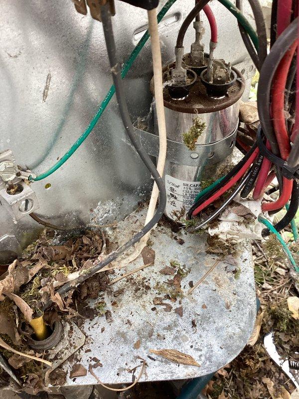 Responded to no cooling complaint on 2007 residential air conditioning unit experiencing loud buzzing noise. Upon inspection, identified failed contactor as source of noise while capacitor tested within acceptable range and refrigerant charge verified at proper levels. Replaced defective contactor and recommended full system replacement due to unit age and condition. Unit operational at time of departure, though customer advised that 20-year-old system has exceeded typical service life and replacement should be considered to avoid future reliability issues.