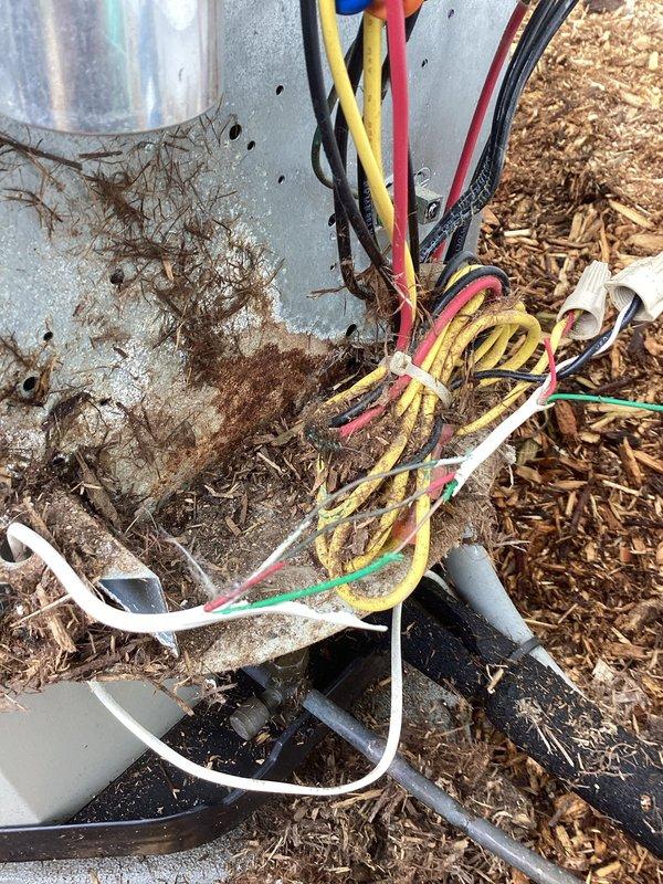 Completed comprehensive AC tune-up and discovered mouse nest in low voltage wiring causing system issues. Removed nest debris, repaired damaged low voltage wiring connections, and restored proper electrical functionality. Verified system operation and ensured all components were functioning correctly after repairs.