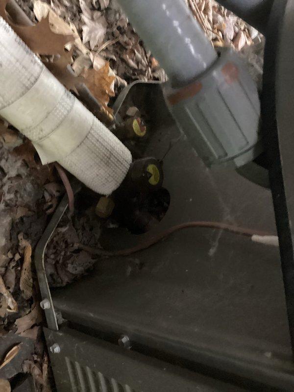 Responded to callback following AC tune-up for persistent odor complaint. Upon inspection, discovered deceased snake inside condenser unit causing foul smell. Removed animal remains and thoroughly cleaned interior of condenser unit, including coils, housing, and surrounding components to eliminate odor and restore proper operation.