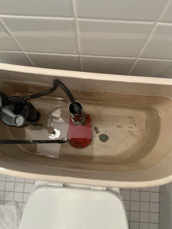 Responded to a leaking toilet complaint and diagnosed multiple issues including a tangled flush chain, failed tank-to-bowl spud gasket and washers, and a malfunctioning flapper valve. Documented the existing conditions and provided a comprehensive replacement bid to address all identified deficiencies causing the water leakage.
